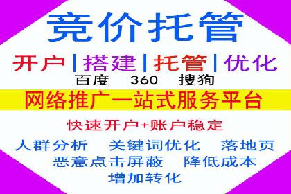 行业专家解析SEM托管代运营的成功要素